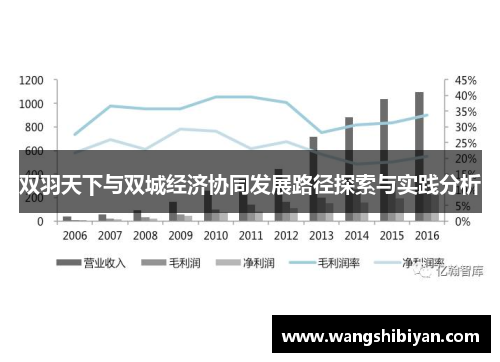 双羽天下与双城经济协同发展路径探索与实践分析 双羽天下与双城经济协同发展路径探索与实践分析